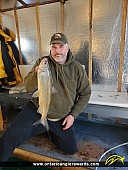 23" Whitefish caught on Lake Simcoe