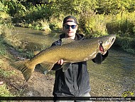 38.5" Chinook Salmon caught on Lake Ontario Tributary 