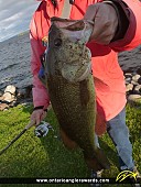 18" Largemouth Bass caught on Rice Lake