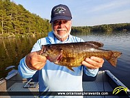 17" Smallmouth Bass caught on Namakan Lake