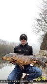 37" Carp caught on Speed River