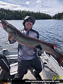 50" Muskie caught on Winnipeg River 