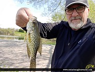10" Black Crappie caught on Mud Lake 