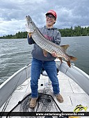 42.25" Muskie caught on Little Vermilion Lake