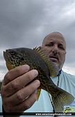 9.25" Pumpkinseed caught on Gloucester Pool