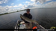 45" Muskie caught on Lake Madawaska