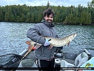 41" Muskie caught on Kakagi Lake