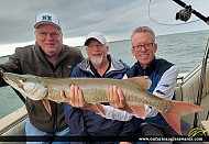 37" Muskie caught on Lake St. Clair