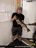 27" Walleye caught on Ahmic Lake