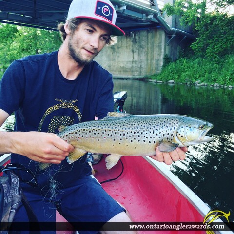 22" Brown Trout caught on Grand River