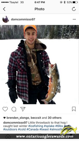 26" Splake caught on Laurie Lake