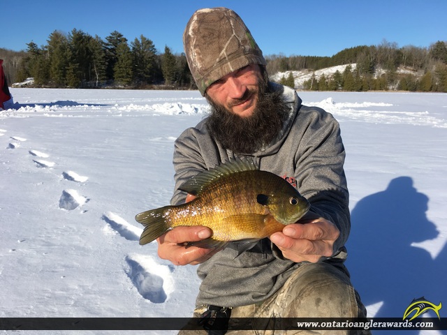 10" Bluegill caught on Clayton Lake
