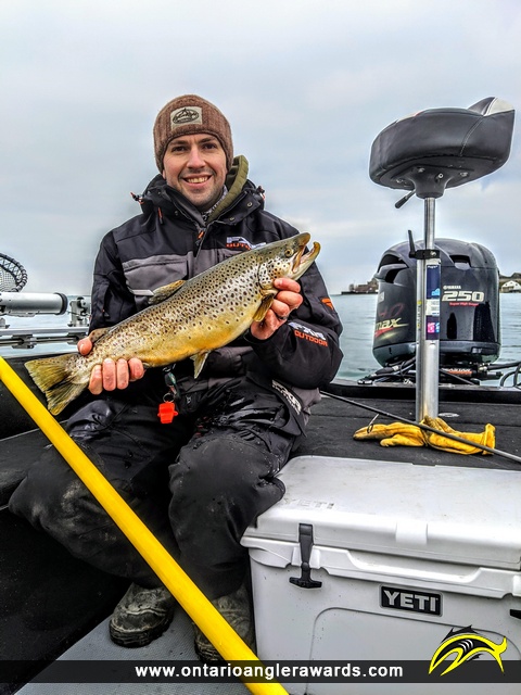 21.5" Brown Trout caught on Niagara River