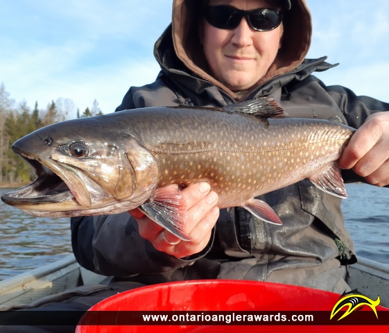20.00" Brook/Speckled Trout caught on Little Beaver