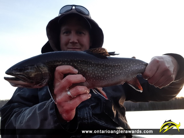 19.05" Brook/Speckled Trout caught on Hum Lake