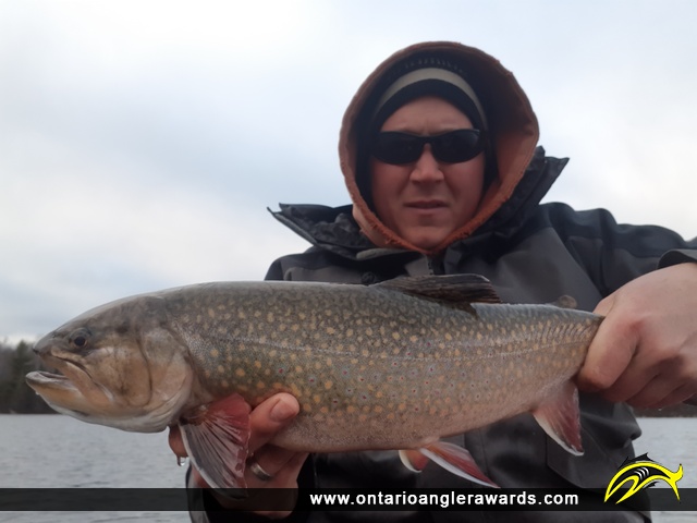 21.95" Brook/Speckled Trout caught on Little Beaver