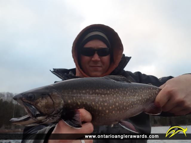 18.05" Brook/Speckled Trout caught on Markoonis Lake