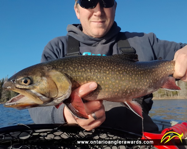 19.15" Brook/Speckled Trout caught on East Tower