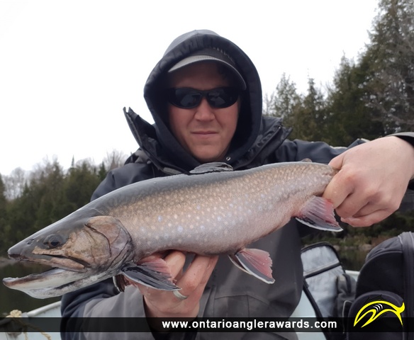 19.90" Brook/Speckled Trout caught on Little Beaver