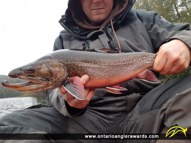 20.00" Brook/Speckled Trout caught on Tig Lake
