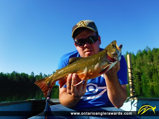 18" Brook/Speckled Trout caught on Liberty Lake