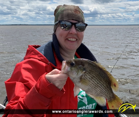 10.25" Rock Bass caught on Lake of the Woods