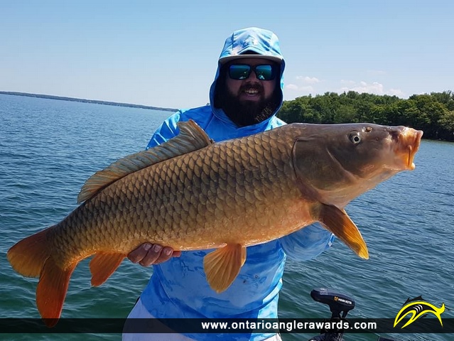 35" Carp caught on Lake Simcoe 