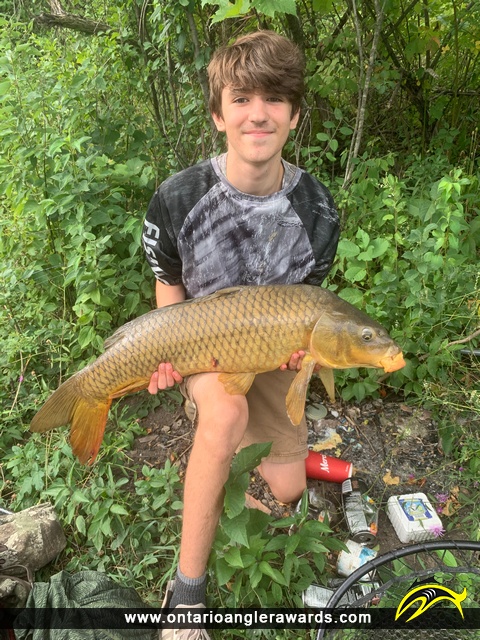 35.75" Carp caught on Welland Canal