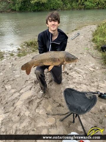 34.75" Carp caught on Welland Canal