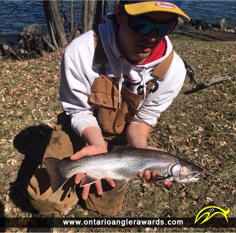 20" Brook/Speckled Trout caught on Manitou River