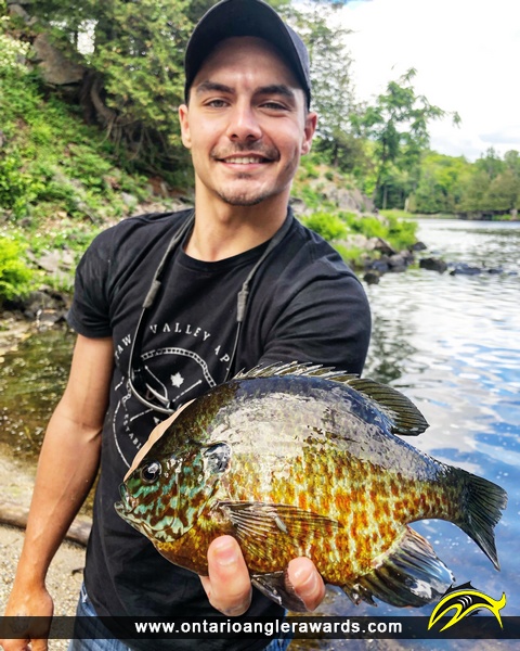 10" Bluegill caught on Lake X 