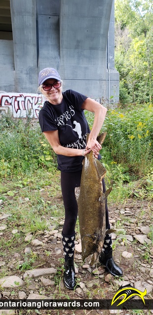 40" Chinook Salmon caught on Bronte River