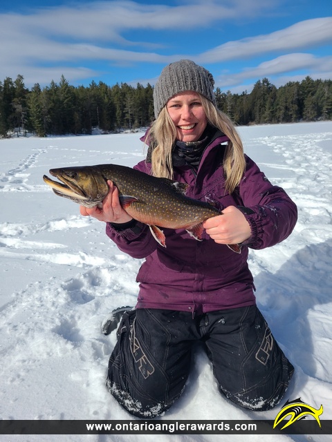 20" Brook/Speckled Trout caught on Nunya Lake