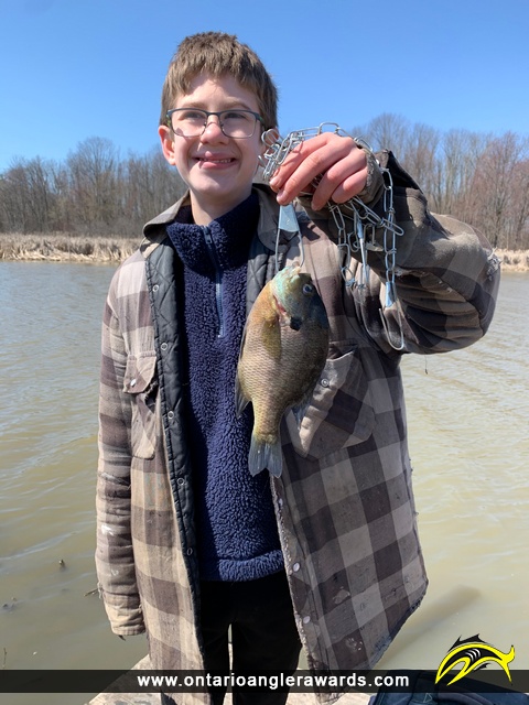 9" Bluegill caught on Nanticoke Creek