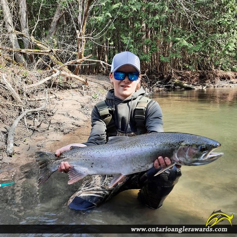 32.25" Rainbow Trout caught on Wilmot Creek
