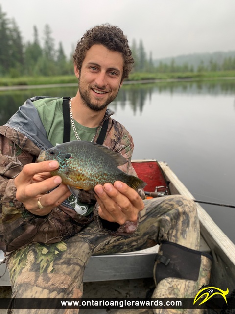 9" Pumpkinseed caught on Pimisi Bay