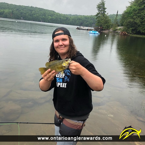 10" Rock Bass caught on Big Hawk Lake