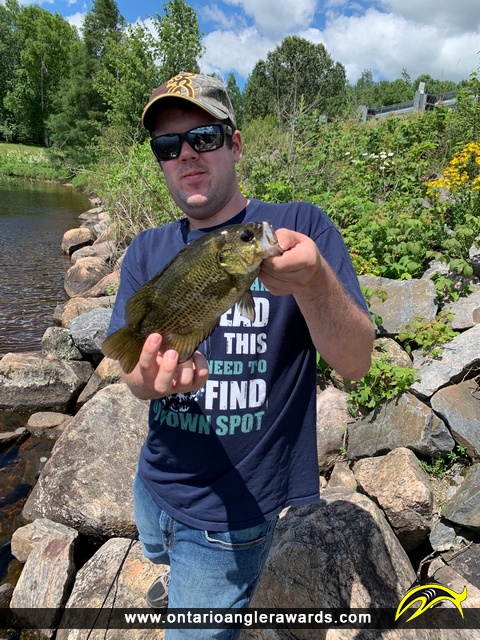 10.5" Rock Bass caught on South River