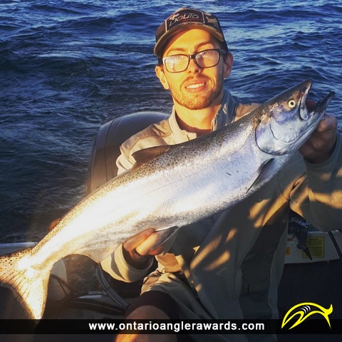 36" Chinook Salmon caught on Lake Ontario