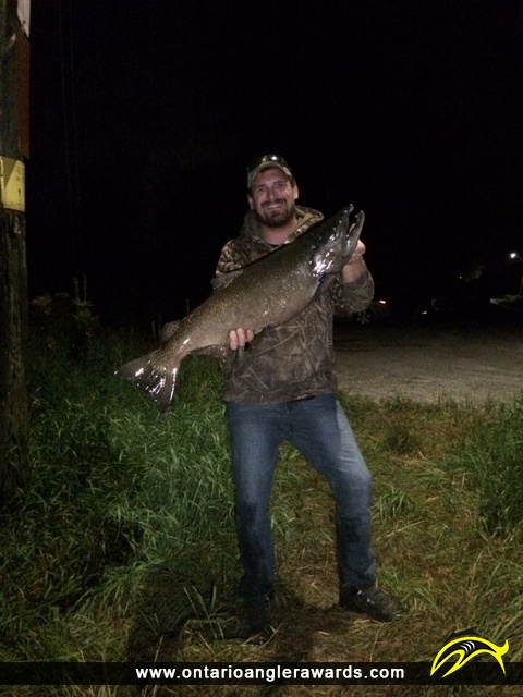 36" Chinook Salmon caught on Lake Ontario