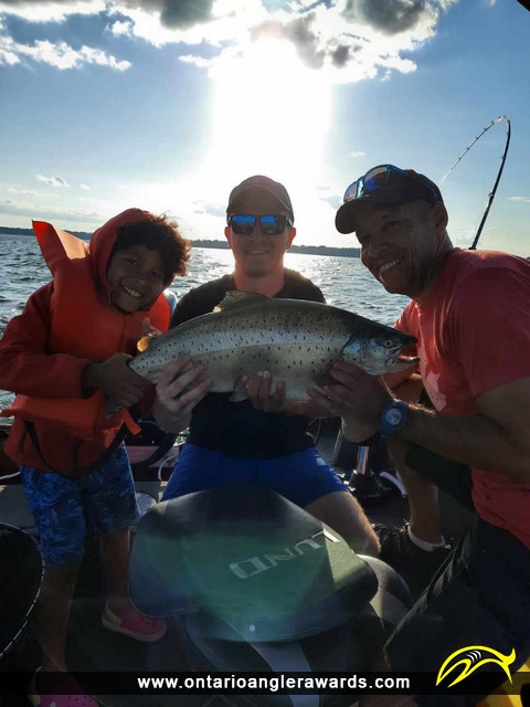 31" Brown Trout caught on Lake Ontario