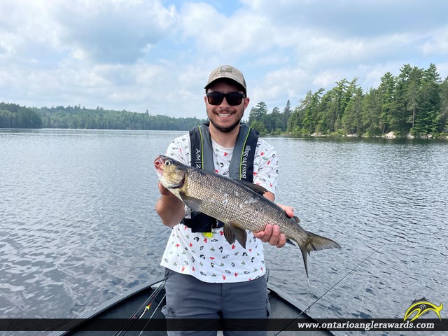 25" Whitefish caught on Lake Kipawa
