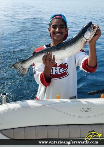 22" Rainbow Trout caught on Lake Ontario