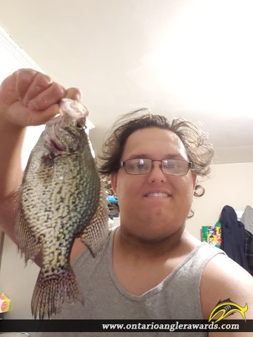 13" Black Crappie caught on Conestogo Lake