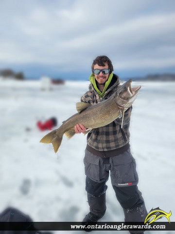 31" Lake Trout caught on Muskrat lake 