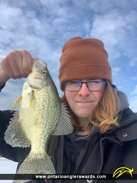 14" Black Crappie caught on Mud Creek