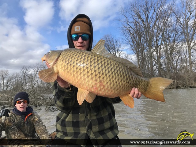 32" Carp caught on Lake Erie