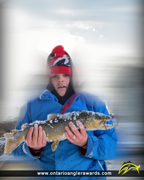 24" Brown Trout caught on Grand River
