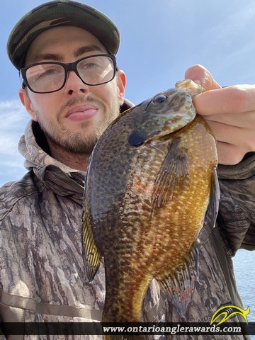 10.5" Pumpkinseed caught on Newboro