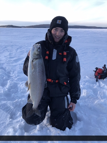 23.75" Whitefish caught on Lake of Bays